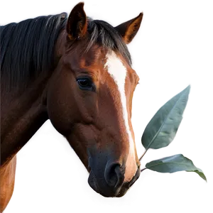 Tranquil Mustang Horse Sunrise Png Oom43 PNG image