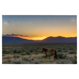 Tranquil Mustang Horse Sunrise Png Osm85 PNG image