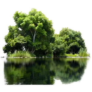 Tranquil Pond Trees PNG Lqj