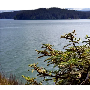 Tranquil San Juan Islands Png Kdp PNG image