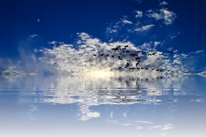 Tranquil_ Sky_and_ Water_with_ Birds_ Flying PNG image