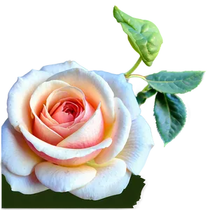 Tranquil Tea Rose PNG Mow25 PNG