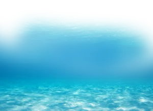 Tranquil Underwater Scene PNG image