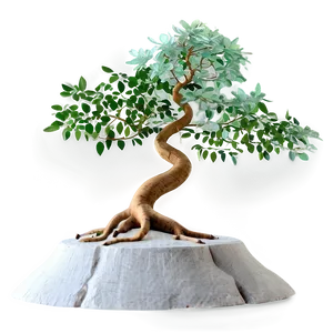 "tranquil Zen Tree PNG" 04302024