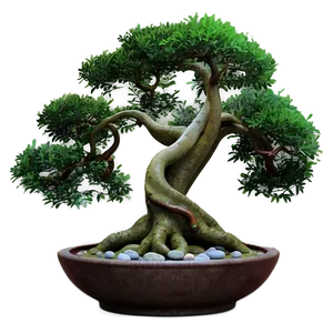 "tranquil Zen Tree PNG" Oos82