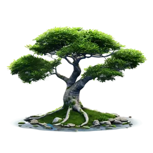 "tranquil Zen Tree PNG" Xas PNG