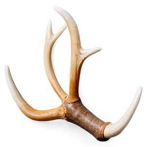 Translucent Deer Antler PNG 12