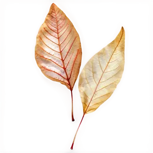 Transparent Autumn Leaf Png 87 PNG image