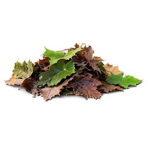 Transparent Background Leaf Pile Png 82 PNG image