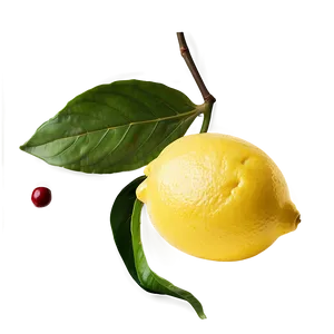 Transparent Background Lemon PNG Bea
