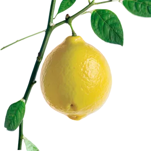 Transparent Background Lemon PNG Smi