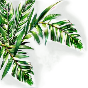 Transparent Background Palm Leaves Png 96 PNG image