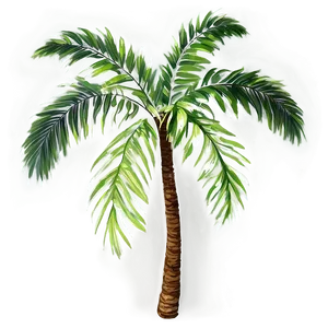 Transparent Background Palm Leaves PNG Slj