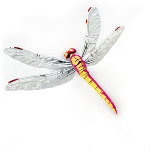 Transparent Dragonfly Png Npq39 PNG image