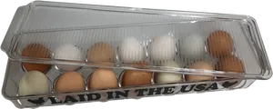 Transparent Egg Carton U S A PNG image