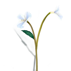 Transparent Flower Stem PNG 06132024