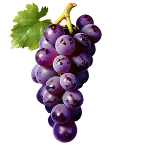 Transparent Grape PNG 05212024