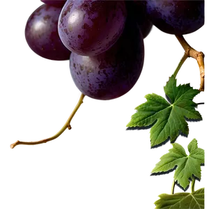 Transparent Grape PNG 06292024
