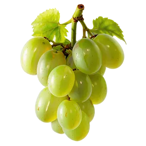 Transparent Grape PNG 56