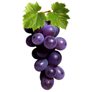 Transparent Grape PNG 90