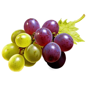Transparent Grape PNG Bry23