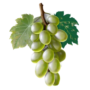 Transparent Grapes PNG Ngo69