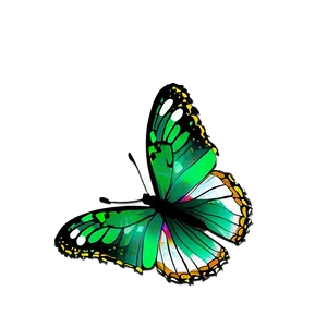 Transparent Green Butterfly Drawing Png Rpm20 PNG image