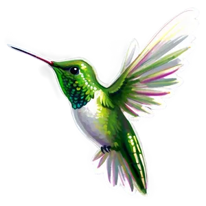 Transparent Hummingbird Png Fvk16 PNG image