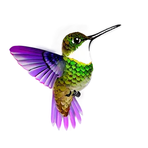 Transparent Hummingbird Png Xeo PNG image