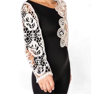 Transparent Lace Sleeve Png Oqs36 PNG image