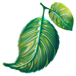 Transparent Leaf PNG 05032024
