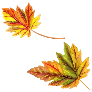 Transparent Leaf PNG Ygw