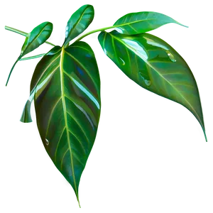 Transparent Leaves PNG Jtt15