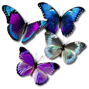Transparent Purple Butterfly Png 26 PNG image