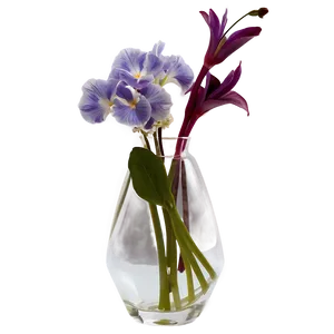 Transparent Vase PNG 55 PNG
