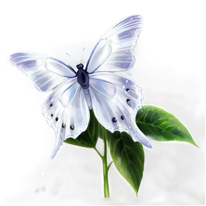 Transparent White Butterfly Png 06122024 PNG image