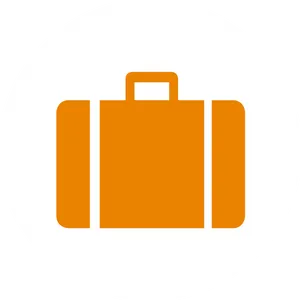 Travel Insurance Icon PNG image