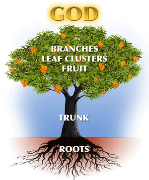 Tree Anatomy Spiritual Concept Illustration PNG image