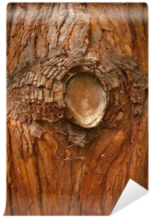 Tree Bark Closeup Transparent Background.png PNG image