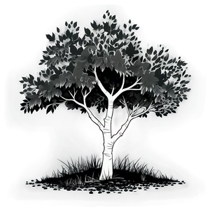 Tree Black And White A PNG image