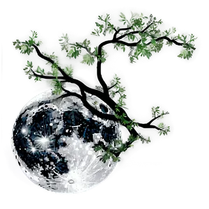 Tree Branches And Moon PNG 74 PNG