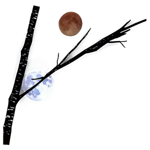 Tree Branches And Moon PNG Bne PNG