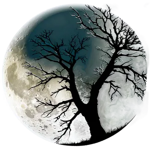 Tree Branches And Moon PNG Ylr65 PNG