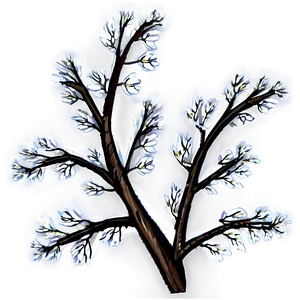 Tree Branches D PNG image