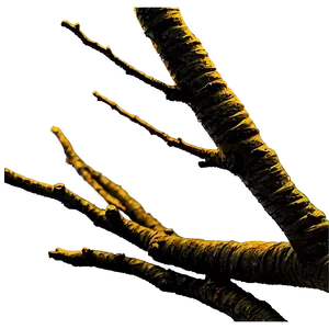 Tree Branches Drawing PNG 20