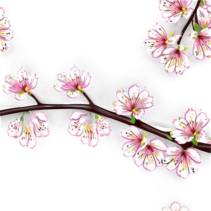Tree Branches In Bloom PNG 06282024