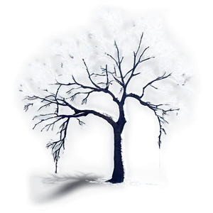 Tree Branches In Fog PNG Ops PNG