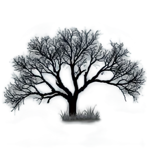 Tree Branches In Fog PNG Sgo PNG