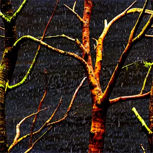 Tree Branches In Storm PNG Mva PNG