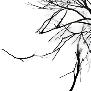 Tree Branches In Wind PNG 06282024 PNG